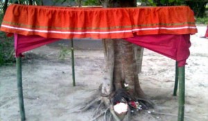 magura20141005112239