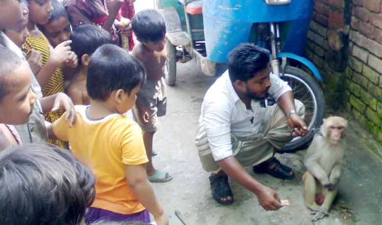 ডাক্তার বানরের চিকিৎসা দেখছে শিশু-কিশোররা