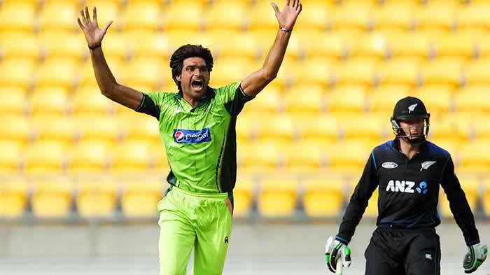 file (6)