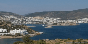 turkey_town_sale