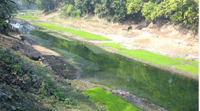 মাগুরা ১নং সরকারী প্রাথমিক বিদ্যালয়ের পাশ দিয়ে প্রবাহিত ছোট নদীতে এখন হাঁটু জলও নেই।