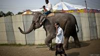 150523135129_bd_circus_elephant_640x360_gettyimages
