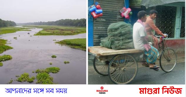 শ্রীপুরে অবৈধ চায়না জালে অবাধে মাছ শিকার, প্রশাসন নিরব